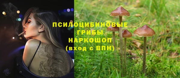 MESCALINE Сосновый Бор