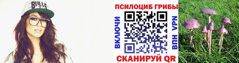 Псилоцибиновые грибы Cubensis shop какой сайт Каспийск